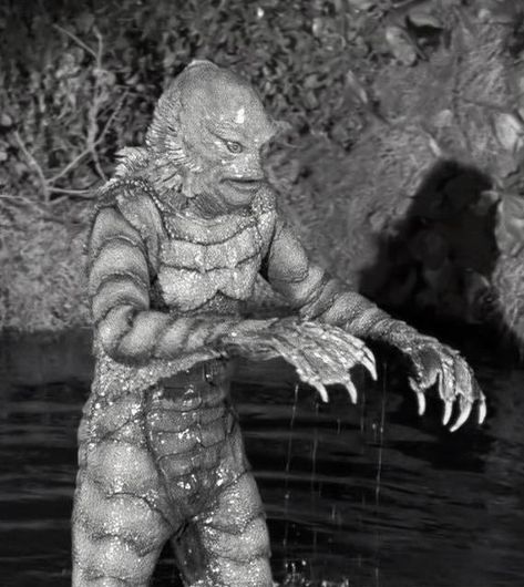 Creature From the Black Lagoon (1954) Frankenstein 1931, Creature From The Black Lagoon, The Black Lagoon, Horror Pictures, Famous Monsters, Sci Fi Films, Underwater Creatures, Black Lagoon, Classic Monsters