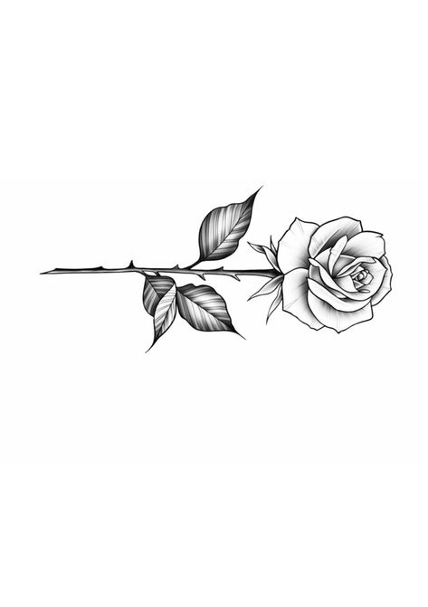 Mini Rose Tattoo Design, Small Rose Stencil, Rose With Stem Tattoo Stencil, Rose On Finger Tattoo, Fineline Rose Tattoo Design, Long Rose Tattoo, Rosa Tattoo Designs, Rose Tattoo Template, Rose Bud Tattoo Design