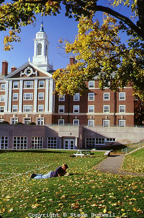 autumn in the quad, Harvard University campus, Cambridge, MA│Steve Dunwell Dennis Ritchie, Harvard University Campus, Campus Aesthetic, Harvard Yale, Graduate College, University Of New Hampshire, London Bucket List, School Campus, College Aesthetic