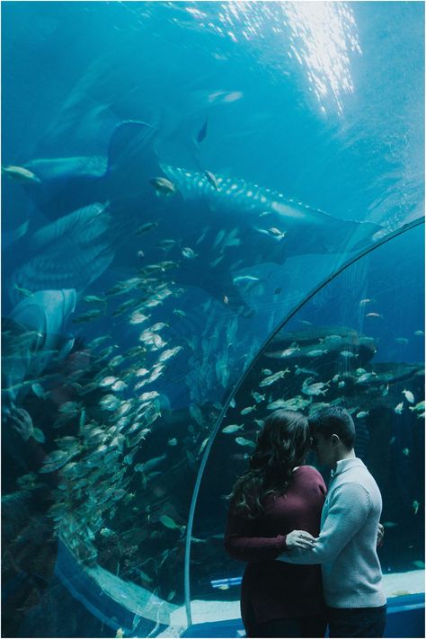 Georgia Aquarium Engagement Session :: Caro and Chris » Sugar Peach Productions Georgia Aquarium Wedding, Aquarium Wedding, Georgia Aquarium, Augusta Georgia, Dream Life, Engagement Session, Award Winning, Georgia, Weddings