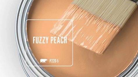 P220-5 FUZZY PEACH | Behr Paint Colors Peach Wall Color Bedroom, Behr Peach Paint Colors, Peach Sachet Behr Paint, Light Orange Paint Colors, Behr Orange Paint Colors, Muted Peach Paint Color, Light Orange Paint, Warm Yellow Paint Colors Behr, Behr Orange Paint Colors Accent Walls