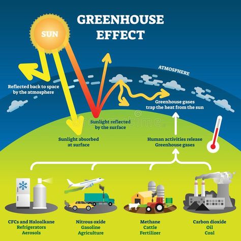 Greenhouse effect vector illustration diagram stock illustration Greenhouse Effect Activity, The Greenhouse Effect, Create Board, Greenhouse Effect, Environmental Education, The Greenhouse, Human Activity, Carbon Dioxide, School Project