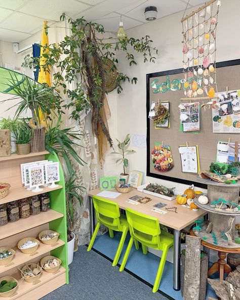 🌟primaryteachuk🌟 on Instagram: “🌲 Charity Shops & Nature As I work towards a more environmentally sustainable classroom I am falling more and more in love with setting up…” Nature Decor Classroom, Sustainability In Childcare, Sustainable Classroom, Future Educator, Charity Shops, School Decor, Class Room, Teacher Things, Classroom Environment