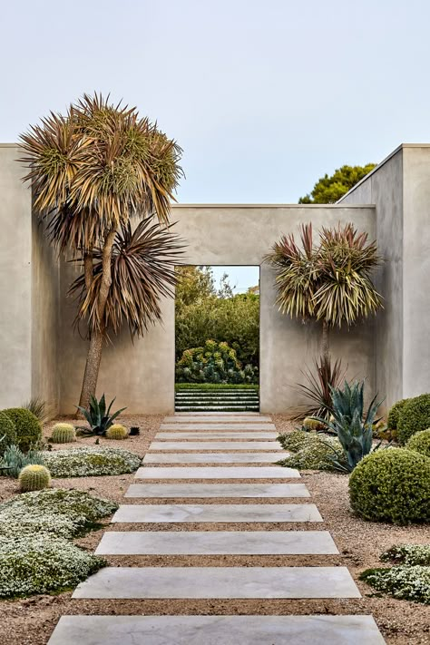 Contemporary Coastal, Coastal Gardens, Desert Garden, Desert Homes, Have Inspiration, Entry Way, Outdoor Design, Native Plants, Walkway