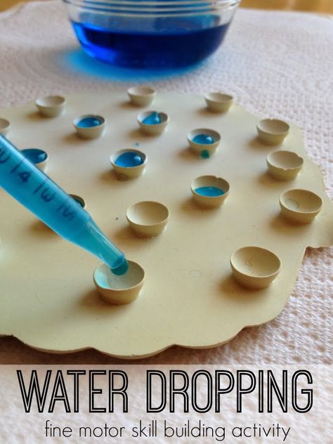 Fine Motor Skill Building | Water Dropper Practice Montessori Trays, Home Gym Garage, Montessori Practical Life, Skill Building, Preschool Fine Motor, Fine Motor Skills Activities, Motor Skills Activities, Skills Activities, Practical Life