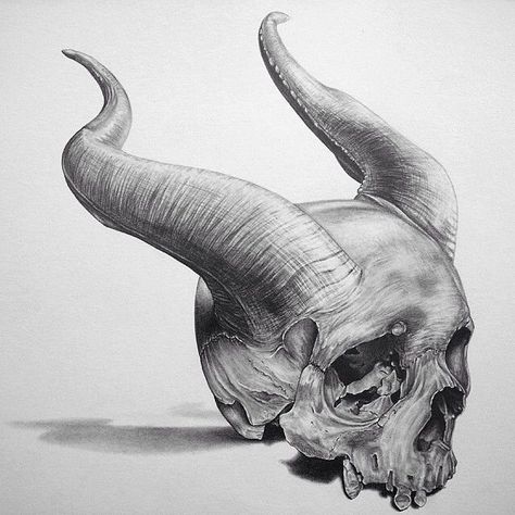 1000+ ideas about Skull Drawings on Pinterest | Skull Art, Crystal ... Horns Tattoo, Skull With Horns, Skull Art Drawing, Skulls Drawing, Skull Drawing, White Tattoo, A Skull, Skull Tattoos, Anatomy Art