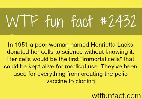 Henrietta Lacks, the woman with “immortal cells” - WTF fun facts Factinate Stories, Henrietta Lacks, What The Fact, Medical Facts, Great Books To Read, Crazy Facts, Cool Facts, Fascinating Facts, Interesting Information