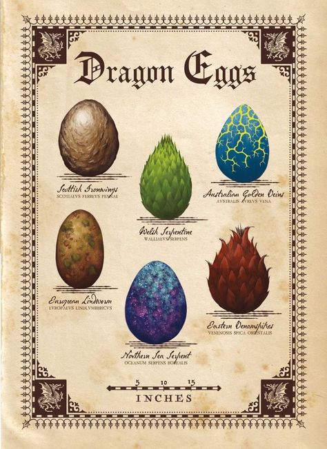 Dragon Egg Drawing, Harry Potter Dragons, Dragons Harry Potter, Mist Magic, Magical Creatures Mythology, Fantasy Creatures Mythology, Dragon Species, Harry Potter Creatures, Egg Illustration