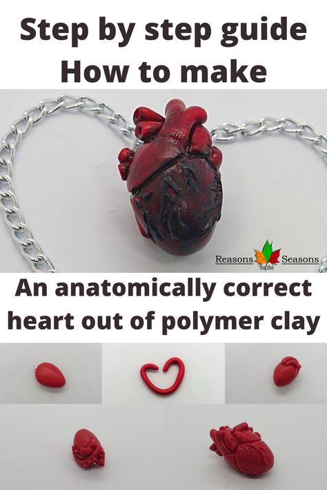 Clay Heart Anatomical, How To Make Clay Hearts, Heart Made Out Of Clay, Polymer Clay Anatomical Heart, Clay Pin Tutorial, How To Make A Clay Heart, Diy Clay Heart, Polymer Clay Hearts Tutorial, Clay Hearts Diy