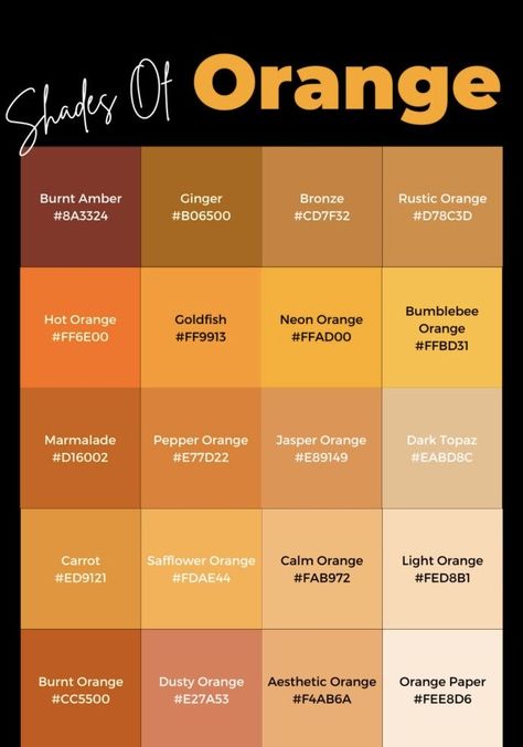 Supplement Photoshoot, Gold Color Hex, Different Shades Of Orange, Palettes Color, Palette Challenge, Rgb Color Codes, Suit Brown, Lincoln Quotes, Colour Swatches