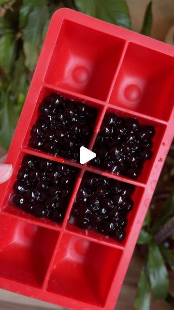 How To Make Boba Pearls, Boba Recipe, Boba Pearls, Bubble Tea, May 22, Milk Tea, Healthy Foods, Food Hacks, Healthy Recipes