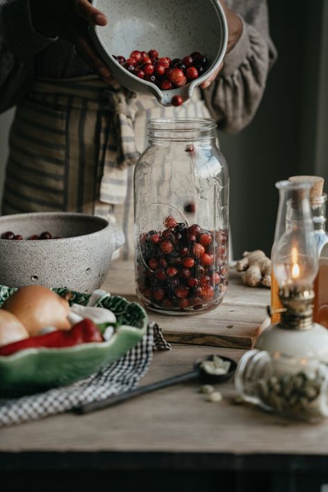 A Must Try Fire Cider Recipe Using Unexpected Herbs | Herbal Academy | In this article, we have a fun spin on the traditional fire cider with a Cranberries and Cardamom Fire Cider recipe! Herbalist Kitchen, Herbal Salve Recipes, Fire Cider Recipe, Herbal Academy, Herbal Education, Herbal Remedies Recipes, Salve Recipes, Fire Cider, Harvesting Herbs