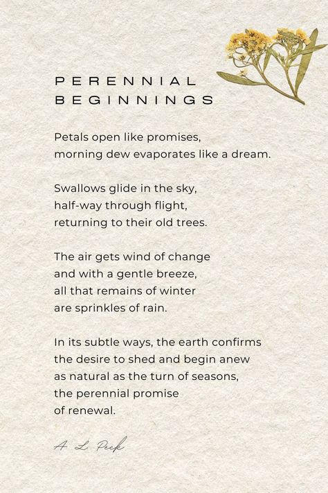 Looking for new poetry or your next favorite poem? Add this poem about new beginnings to your list. It's never too late for a fresh start. Doesn't it remind you of Spring?! #poem #poems #poetry #spring #seasons #naturepoems #flowers #newbeginnings #poetryquotesdeep #poemsonlife Spring Poems Poetry, Poems About New Beginnings, Poem About Spring, Spring Poetry, Seasons Poem, Spring Poem, May Bullet Journal, New Poetry, Nature Poem