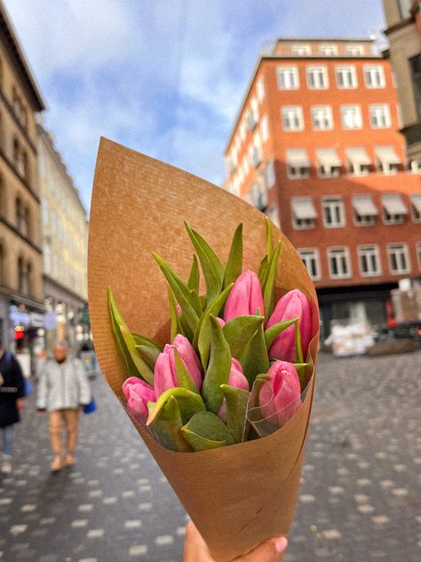 Flower aesthetic, flower market, european flower shop, tulip season, tulip goals, bouquet, simple flower arrangement, flower power, københavn, copenhagen, amsterdam tulips Danish Flowers, Tulip Market, Aesthetic Flower Market, Amsterdam Tulips, Tulip Season, Arrangement Flower, Poster Project, Tulip Bouquet, Aesthetic Flower