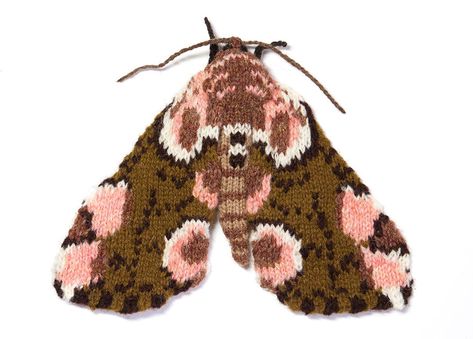 Peach Blossom Moth (Thyatira Batis) Knit Art, Peach Blossom, Shetland Wool, Knitted Animals, How To Start Knitting, Art Textile, Knitted Toys, Fiber Arts, Knitting Inspiration