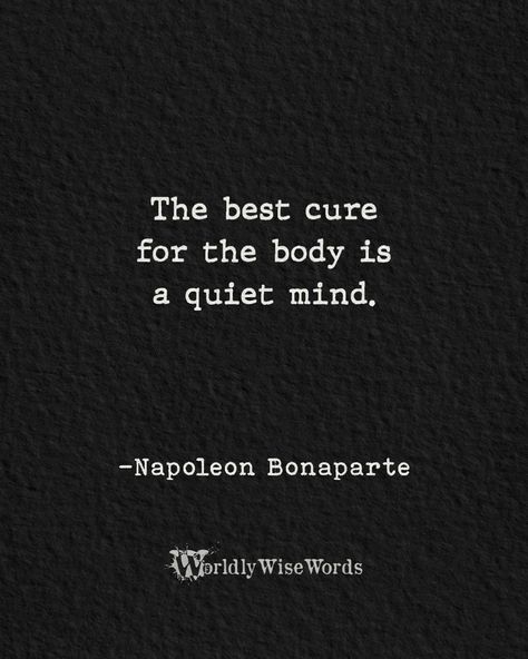 Nepolian Bonaparte Quotes, Nobility Quotes, Napoleon Bonaparte Quotes, Napoleon Quotes, Quiet Mind, Profound Quotes, Napoleon Bonaparte, Historical Quotes, S Quote