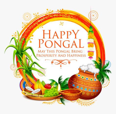 Happy Pongal Wishes, Pongal Wishes, Indian Ceramics, Festival Quotes, Happy Pongal, Happy Makar Sankranti, Celebration Background, Makar Sankranti, Diwali Festival