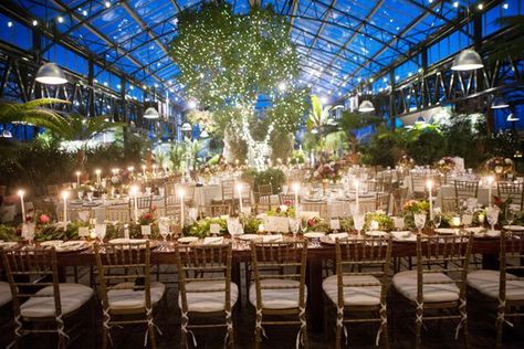 greenhouse wedding reception - photo by Kelly Sweet Photography http://ruffledblog.com/botanical-garden-wedding-with-glass-ceilings Planterra Conservatory, Wedding Venues Indoor, Michigan Wedding Venues, Garden Venue, Botanical Gardens Wedding, Greenhouse Wedding, Garden Wedding Venue, Venue Wedding, Wedding Costs