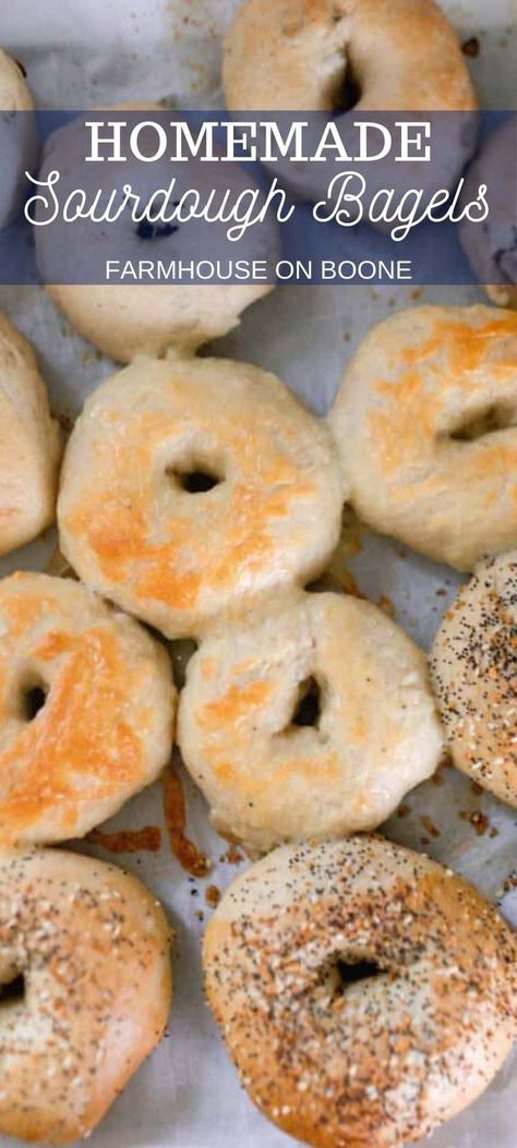 Sourdough bagels are delicious, chewy, crusty, and deliciously tangy. These are an amazing way to start your morning or to enjoy for a yummy brunch. #farmhouseonboone #sourdoughbagels #sourdough #bagels Bagel Recipe Easy, Sourdough Breads, Sourdough Bagels, Sourdough Starter Discard Recipe, Homemade Sourdough, Sourdough Starter Recipe, Homemade Bagels, Bagel Recipe, Sourdough Baking