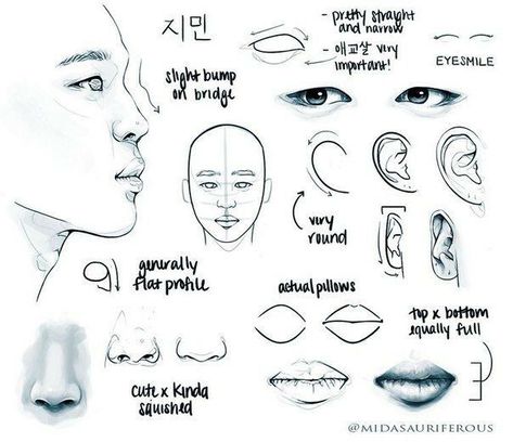 Tumblr Face, View Drawing, Bts Eyes, Face Study, Drawing Eyes, Nose Drawing, Park Ji Min, Profile View, Kpop Drawings