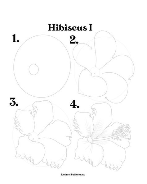 Habisquis Flower Drawing Easy, Botanical Line Drawing, Flower Sketches, Drawing Challenge, Hibiscus Flowers, Step By Step Drawing, Flower Tutorial, Happy Friday, Botanical Illustration