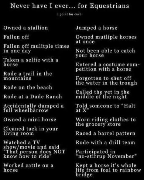 Equestrian Quotes Funny, Equestrian Motivation Quotes, Things Only Equestrians Understand, Rodeo Quotes, Horse Adventure, Cowgirl Quote, Funny Horse Pictures, Team Quotes, Equestrian Quotes