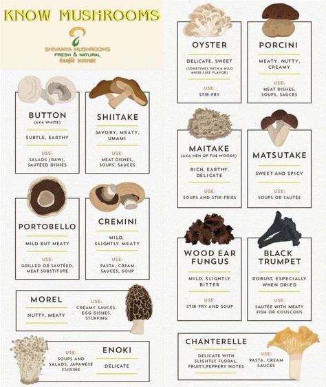 Mushroom Chart, Mushroom Logo, Edible Wild Mushrooms, Growing Mushrooms At Home, Mushroom Identification, Mushroom Varieties, Mushroom Benefits, Mushroom Cultivation, Foraged Food