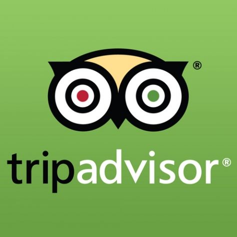 Trip-Advisor Geography Quiz, Pink Beach, Komodo, Travel Sites, Local Guide, Florida Keys, Positano, Travel Agent, Amalfi Coast