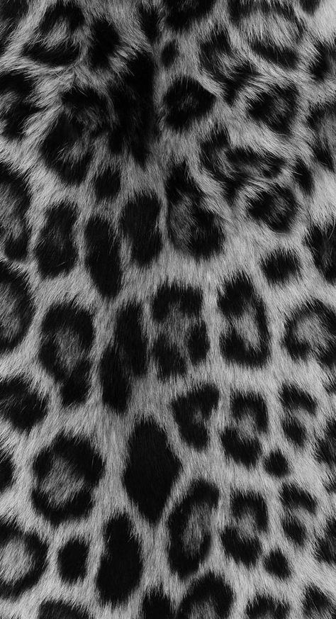 Black And White Leopard Print Wallpaper, Black And White Wallpaper Vintage, Cheetah Print Black And White, Black And White Cheetah Print Wallpaper, Gray Leopard Print Wallpaper, Grey Leopard Print Wallpaper, Leopard Print Poster, Black And White Glam Aesthetic, Cheetah Aesthetic Wallpaper