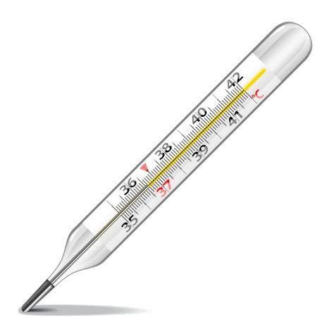 Thermometer medical a glass mercury Royalty Free Vector Mercury Thermometer, Glass Thermometer, Transparent Png, Png Images, Vector Images, Vector Free, Vector Illustration, Royalty, Royalty Free