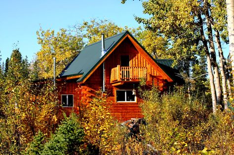 A real Alaska homestead in Kenny Lake, Alaska A Look At A Real Alaska… Cabin In Alaska, Alaska Homestead, Ice Hut, Trappers Cabin, Cabin Tiny House, Sugar Shack, Off Grid Cabin, Living Essentials, Living In Alaska