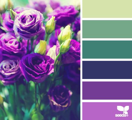 flora palette Deco Violet, Seeds Color, Purple Color Schemes, Design Seeds, Purple And Green, Color Stories, World Of Color, Color Textures, Colour Schemes