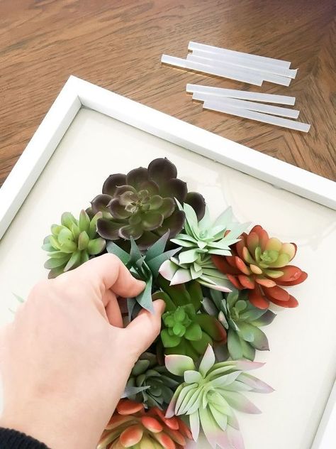 How to Make Dollar Store 3D Succulent Art DIY | Hometalk Dollar Tree Wall Decor Diy, Dollarama Diy, Moss Frame, Succulent Theme, Quick Art, Succulent Display, Barn Wall Art, Succulent Art, Succulent Wall