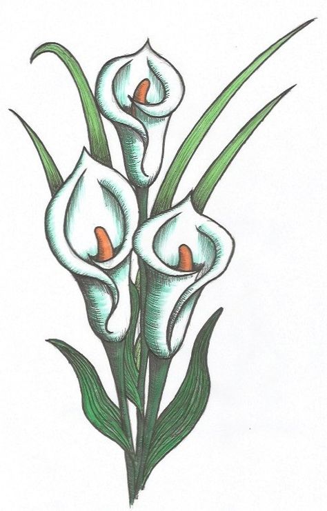 Easter Lilly Drawings, Iris Flowers Drawing Easy, Peace Lily Drawing, Lily Doodle, Lilly Flower Drawing, Lily Drawing, Flower Rocks, Lilies Drawing, Flower Pattern Drawing