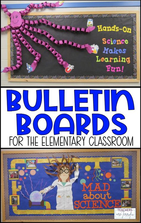 How to Create an Amazing Science Bulletin Board - Teachers are Terrific Bulletin Board Ideas Aesthetic, Bulletin Boards Science, Science Bulletin Board Ideas, Stem Bulletin Boards, Science Bulletin Board, High School Bulletin Boards, Kids Bulletin Boards, Steam Classroom, Science Display