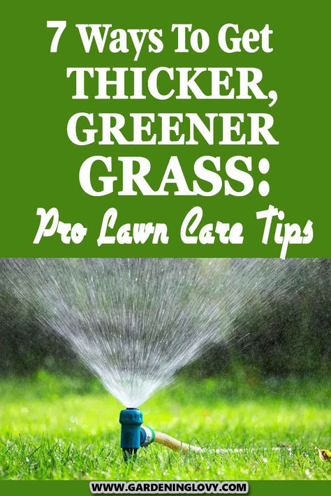 Do you know you can have a thick, green and beautiful lawn? Read this post for professional lawn care tips on growing lush lawn in 365 days. Grow Grass Fast, Greener Grass, Organic Lawn Care, Lawn Mower Maintenance, Growing Grass, Lawn Care Tips, Lush Lawn, Lawn Maintenance, How To Get Thick