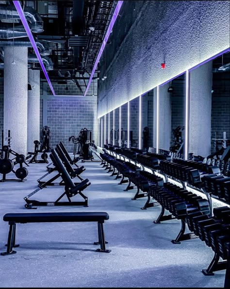 Neon Gym, Gym Guide, Gym Architecture, Commercial Gym Design, Gym Designs, Fitness Center Design, Warehouse Gym, Gym Plans, Luxury Home Gym