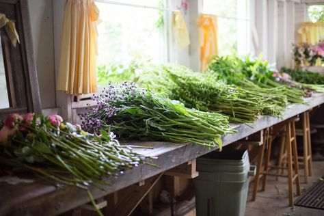 Making Market Bouquets - Floret Flowers Farmers Market Table Display Booth Ideas, Market Bouquets, Floret Flowers, Vases Arrangements, Bouquet Business, How To Grow Vegetables, Peony Farm, Farmers Market Flowers, Growing Cut Flowers