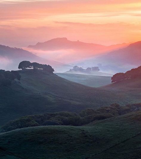 Here comes the sun! Good morning from Petaluma. Fantastic shot by @giancarlopaterlini . . . #petaluma #petalumacalifornia #petalumaproud… Petaluma California, Here Comes The Sun, Be Safe, Here Comes, The End, The Sun, Good Morning, California, Sun