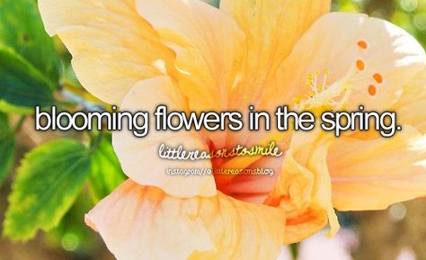 :) Is It Spring Yet, Be A Lady, Dont Forget To Smile, List Ideas, Girly Quotes, Reasons To Smile, All Smiles, Get To Know Me, Blooming Flowers