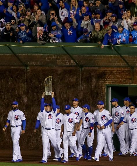 The Chicago Cubs celebrate their 2016 World Series win at their Home Opener at Wrigley Field - April 10, 2017 Chicago Cubs World Series, Chicago Sports Teams, Chicago Baseball, Cubs Win, Go Cubs Go, Kris Bryant, Chicago Cubs Baseball, Cubs Baseball, Chicago Sports