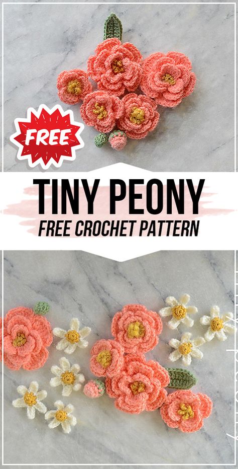 crochet Tiny Peony free pattern - easy crochet flower pattern for beginners Easy Crochet Flower, Crochet Tiny, Bouquet Crochet, Crochet Flower Pattern, Beau Crochet, Crochet Garden, Crochet Flowers Easy, Crochet Flowers Free Pattern, Confection Au Crochet