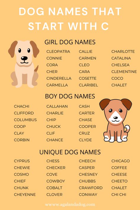 List of dog names that start with C. Unique Dog Names, Dog Names Unique, Boy Dog Names, Girl Dog Names, Female Dog Names, Best Dog Names, Names Boy, Cute Names For Dogs, Names Unique