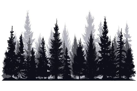 Pine Trees Silhouettes Silhouette Nature, Coniferous Forest, Pine Tree Silhouette, White Pine Tree, Forest Silhouette, Wooded Landscaping, Forest Tattoos, Theme Tattoo, Park View