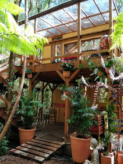 Beach Tree House, Jungle Treehouse Aesthetic, Costa Rican Homes, House In The Rainforest, Livable Treehouse, Jungle House Aesthetic, Treehouse Aesthetic Inside, Hawaii House Aesthetic, Hawaii Treehouse