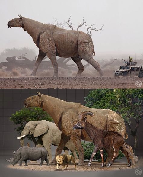 Ⓜ️Life 65 milion years ago🏞️ on Instagram: “Ancient African Megafauna. 👌🏻 #jurasiccworld3 #1993 #1997 #2001 #2015 #2018 #2021 #guess #species #new #artstation #deviantart #Dinosaurs…” Ancient Animals Extinct, Paraceratherium Art, Ancient Animal Art, Megafauna Mammals, Extinct Mammals, Prehistoric Animals Dinosaurs, Prehistoric Wildlife, Different Animals, Prehistoric World