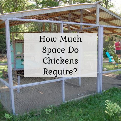 Small Chicken House Ideas, Small Hen House Ideas, Chickens In Small Backyard, Backyard Chicken Run Ideas, Small Area Chicken Coop, Fenced In Chicken Area, Chicken Area Backyard, Small Space Chicken Coop, Small Backyard Chicken Coop Ideas