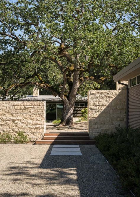 Modernized ranch home in the Santa Lucia mountains, California Steel Cladding, Limestone Wall, Carmel California, Old Oak Tree, Exposed Concrete, Santa Lucia, California Homes, Landscape Walls, Oak Tree