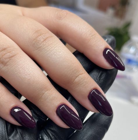 rosewood Dark Plum Acrylic Nails, Dark Purple Round Nails, Dnd Rosewood, Deep Mauve Nails, Plum Aesthetic Color, Plum Nails Design, Deep Purple Acrylic Nails, Short Round Blue Nails, Fall Nail Gel Colors