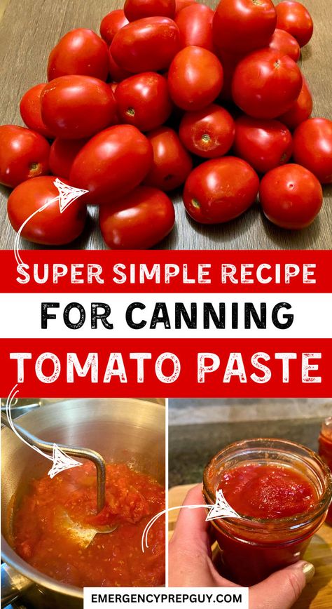 Step-by-step images showing fresh tomatoes being mashed and jarred into homemade tomato paste, perfect for beginners with a simple canning recipe at home. Canning Petite Diced Tomatoes, Waterbath Canning Recipes Tomatoes, Tomato Paste Canning Recipe, Tomato Paste From Fresh Tomatoes, Canning Tomato Paste, Canning Tomatoes For Beginners, Water Bath Canning For Beginners, Tomato Paste Uses, Tomato Paste Recipe